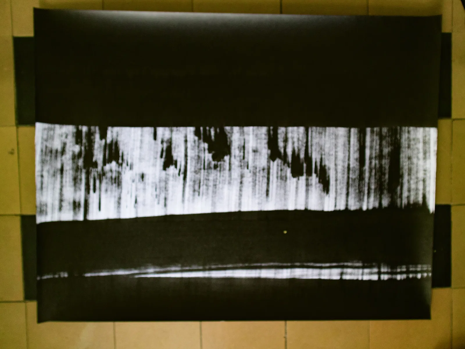 IMG_3279 — Encre de Chine sur papier — 50 × 65 cm