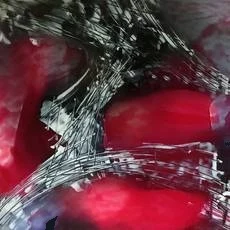 IMG_0870 — Huile sur photographie RC Fuji Crystal — 30 × 30 cm